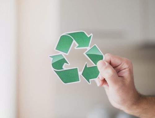 Sustentabilidade na cosmética: o compromisso da nanotecnologia