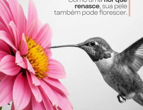 Sua beleza merece destaque!